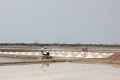 sci-kokkham2014-03-11_62