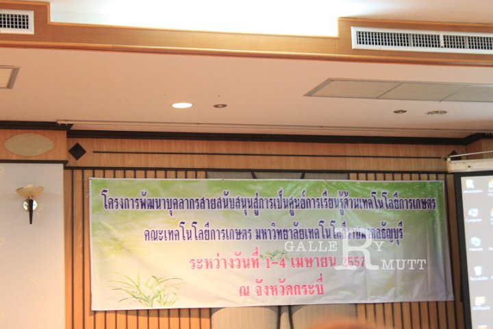IMG_5371.JPG