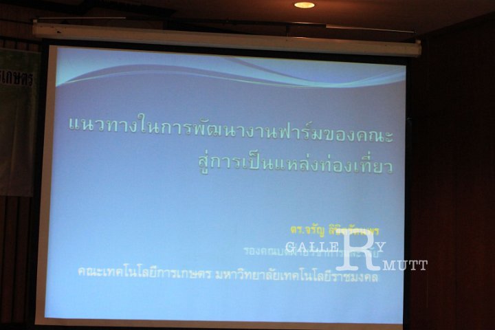 IMG_5427.JPG