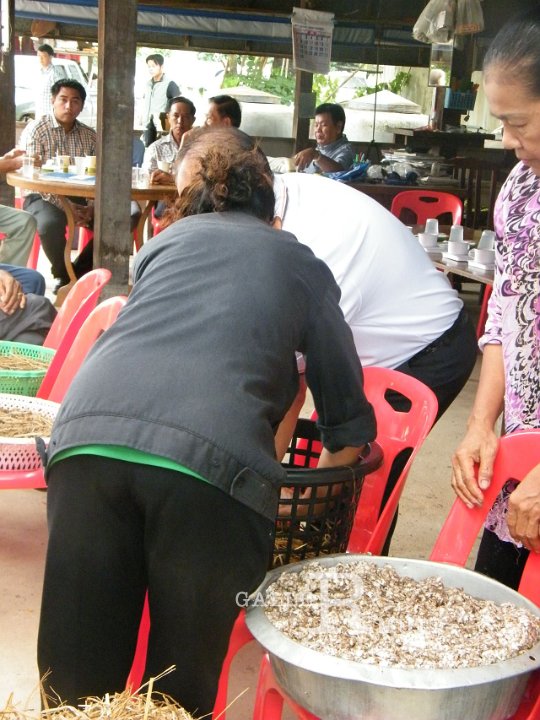 DSCF4572.JPG