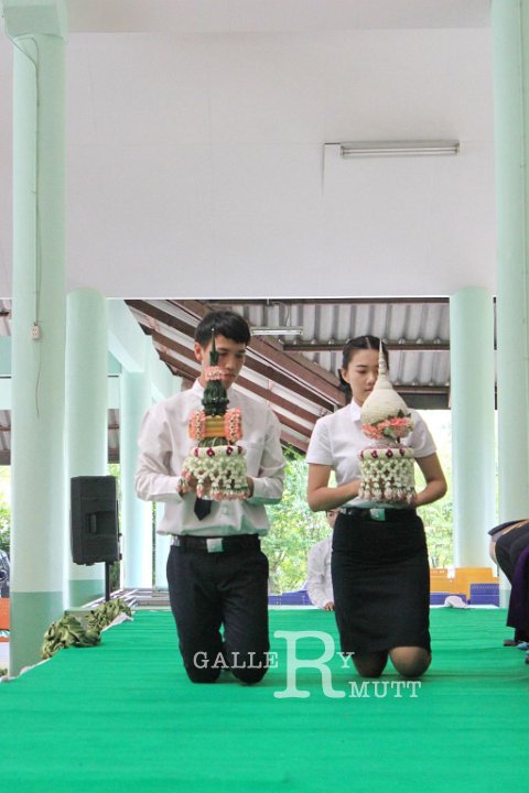 IMG_2639.JPG