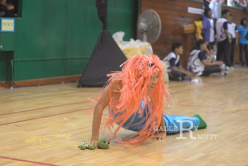 DSC_3548.JPG