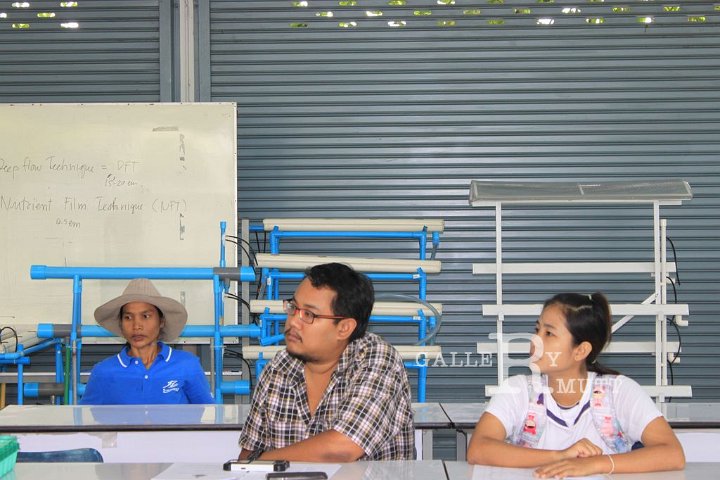 IMG_3695.JPG