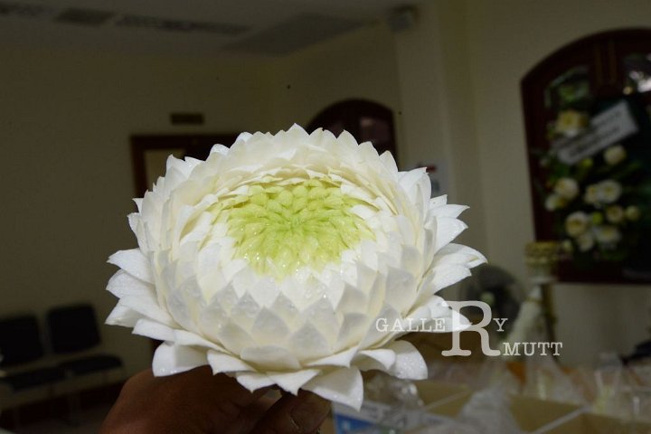 DSC_5665.JPG