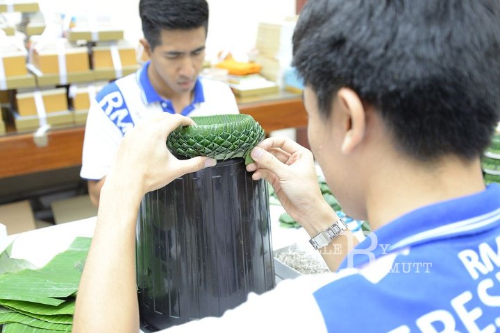 DSC_5726.JPG