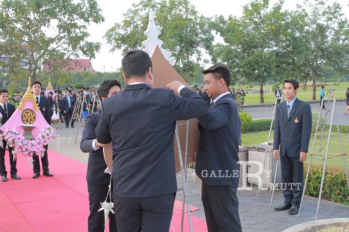 CAT_0037.JPG