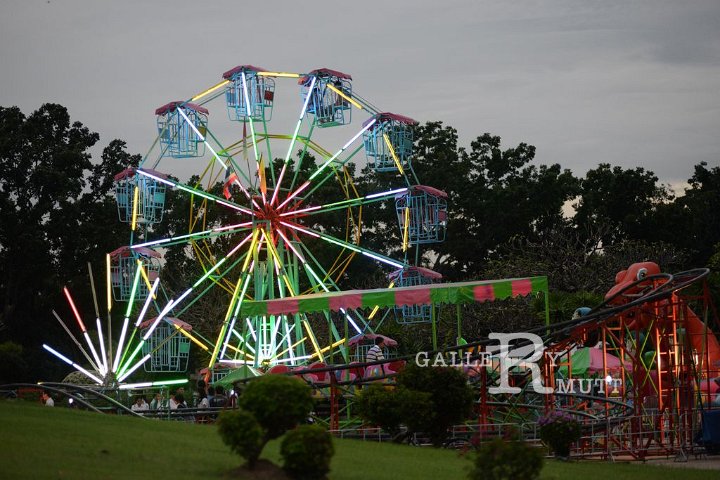 DSC_9174.JPG