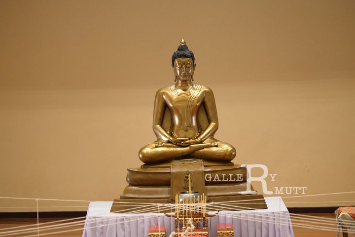 DSC_1104.JPG
