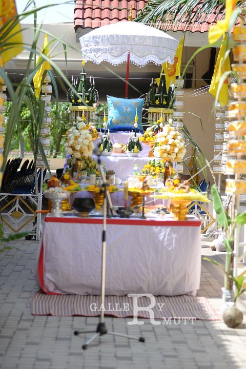 DSC_1121.JPG