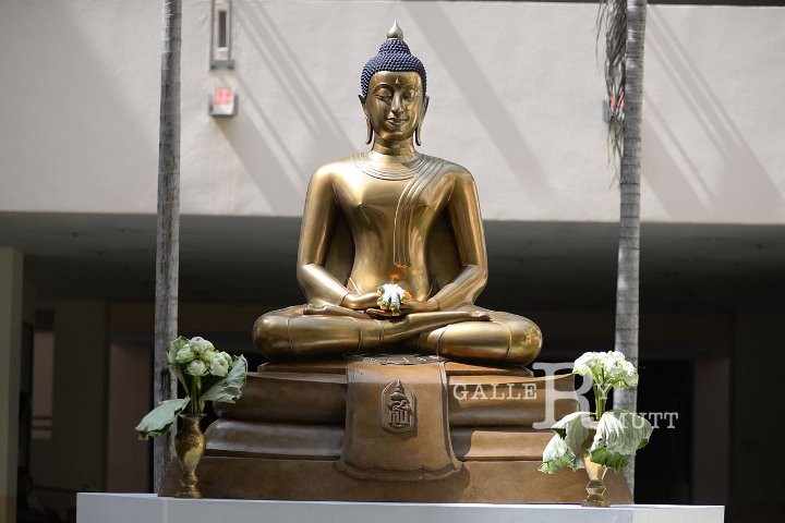 DSC_1555.JPG