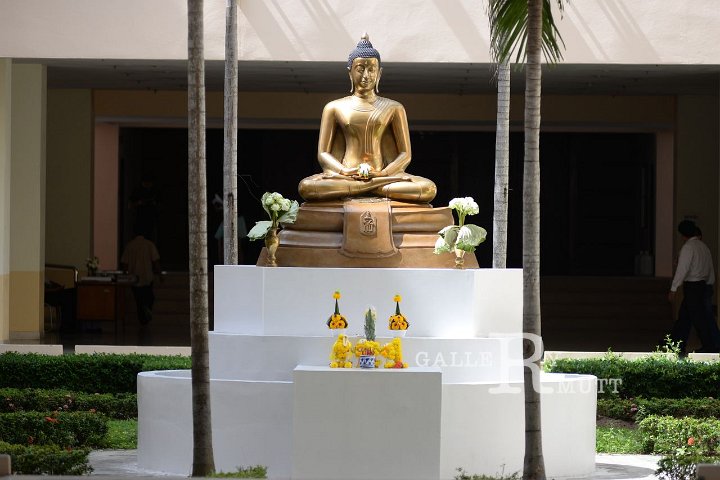 DSC_1566.JPG
