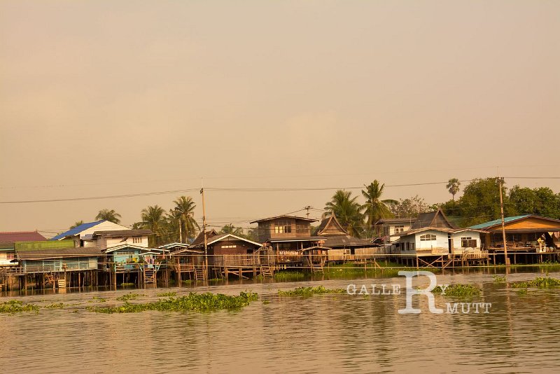 DSC_0013.jpg