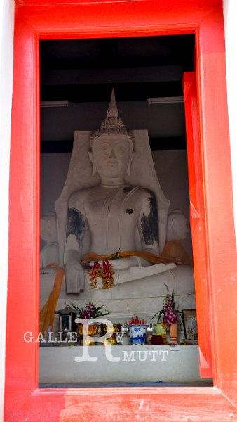 DSC_0036.jpg