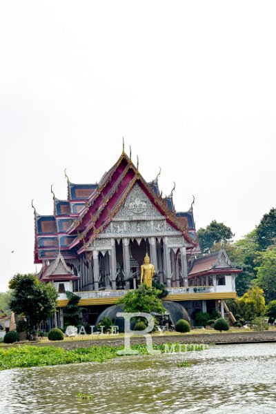 DSC_0096.jpg