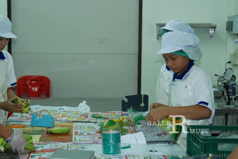DSC_6816.JPG - ARIT(PRODUCTION)