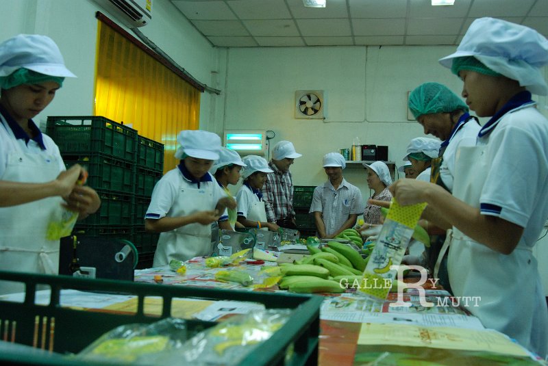 DSC_6867.JPG - ARIT(PRODUCTION)