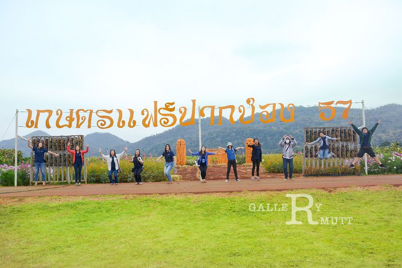20150106-08-ARIT-393.jpg