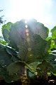 20150106-08-ARIT-160