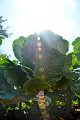 20150106-08-ARIT-161