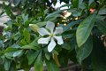 20150106-08-ARIT-223