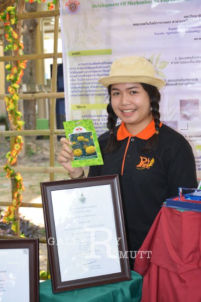 20150117-ARIT-113.jpg