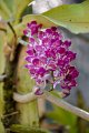 20150117-ARIT-003