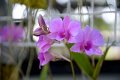 20150117-ARIT-004
