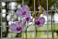 20150117-ARIT-005