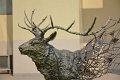 20150117-ARIT-026
