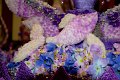 20150117-ARIT-105