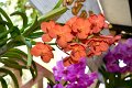 20150117-ARIT-136