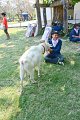 20150117-ARIT-150
