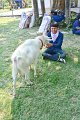 20150117-ARIT-151