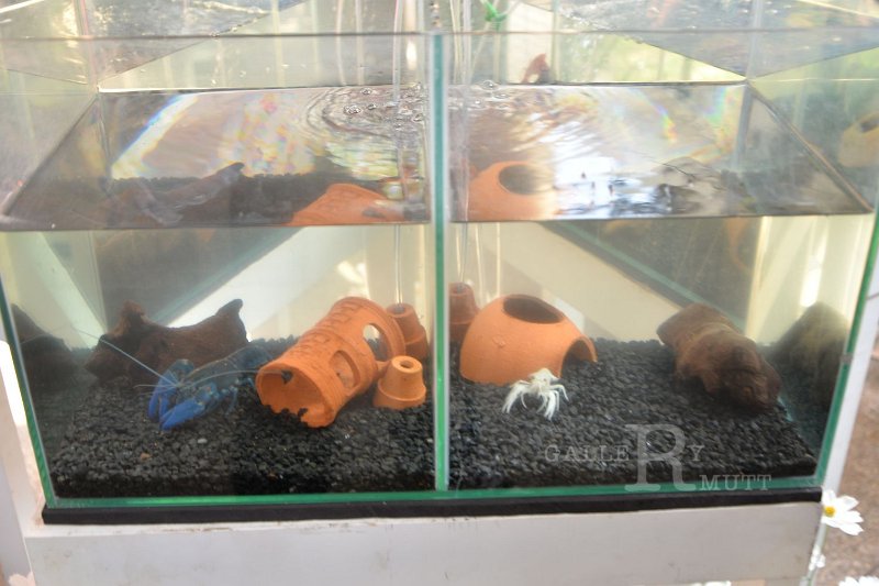 20150117-PR02-278.JPG