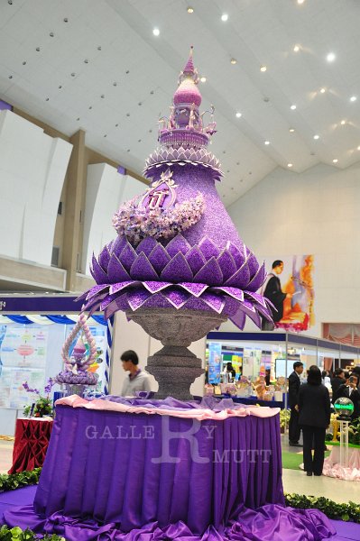 20150117-PR04-072.JPG