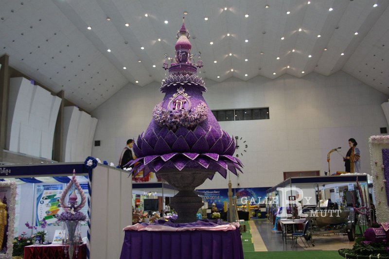 IMG_7964.JPG