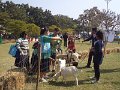 DSC02054