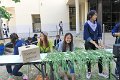 IMG_0050