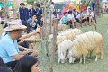 IMG_0061
