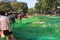 IMG_0271