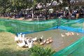 IMG_0275