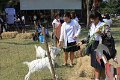 IMG_0279