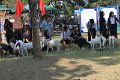 IMG_0458