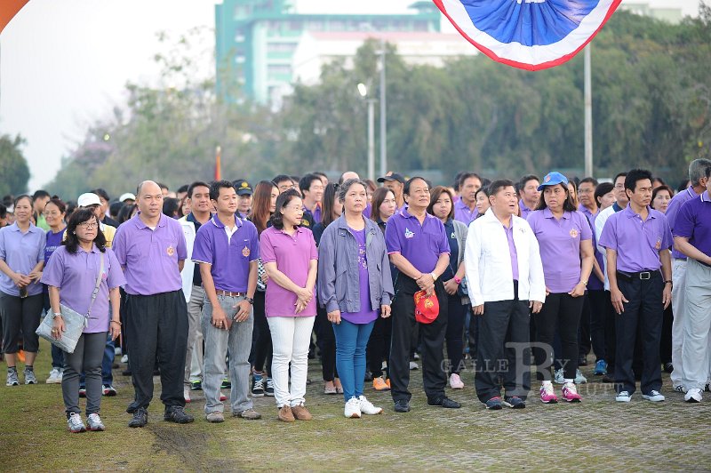 20150210-008.JPG