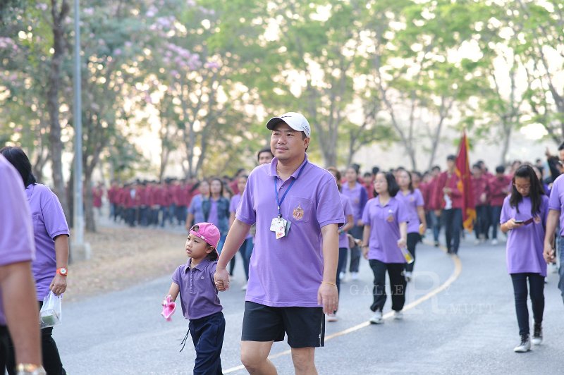 20150210-090.JPG