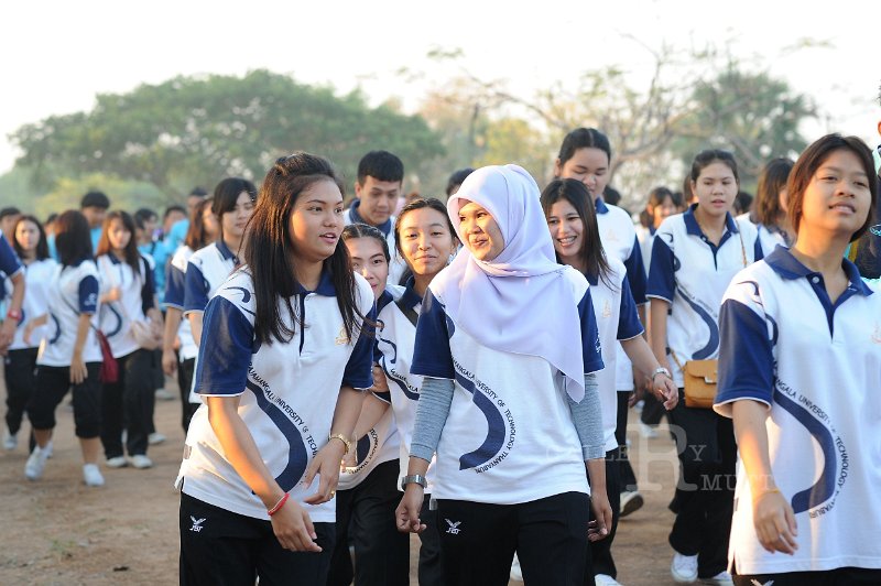 20150210-189.JPG