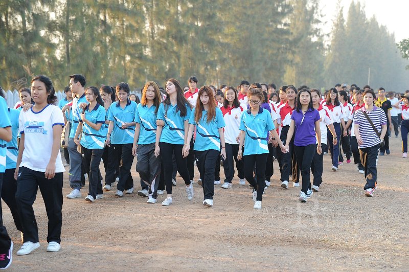 20150210-234.JPG