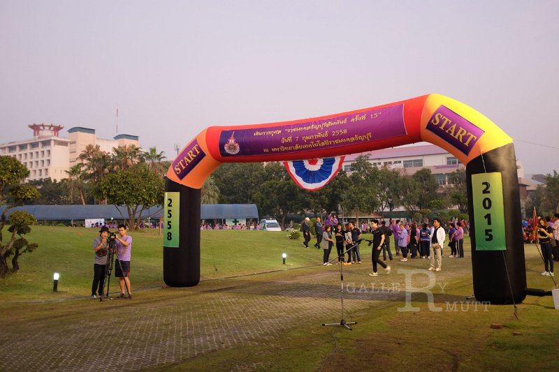 20150210-336.JPG