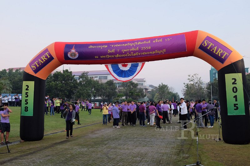 20150210-355.JPG