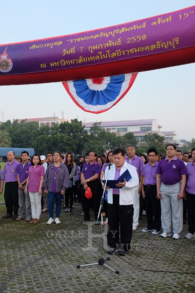 20150210-362.JPG